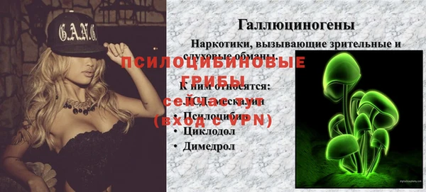 скорость Абаза